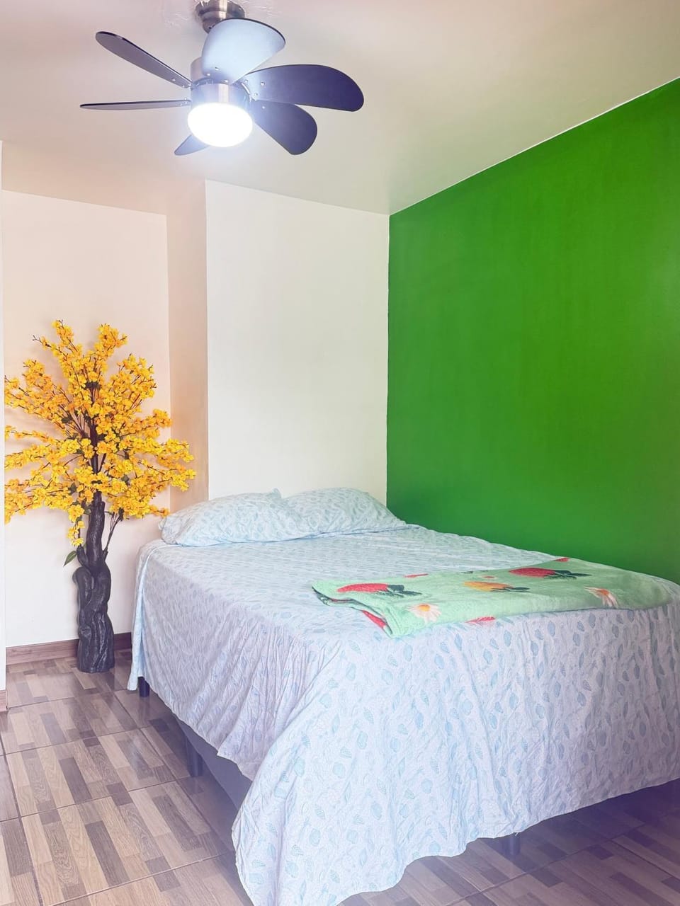 Small room in the heart of grecia Vacation rental in Alajuela Province
