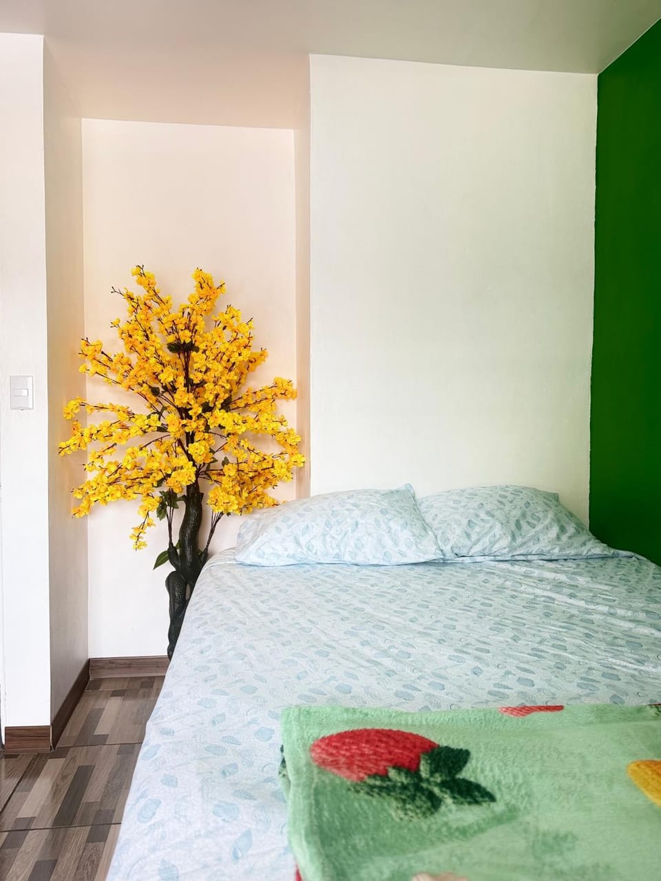 Small room in the heart of grecia Vacation rental in Alajuela Province