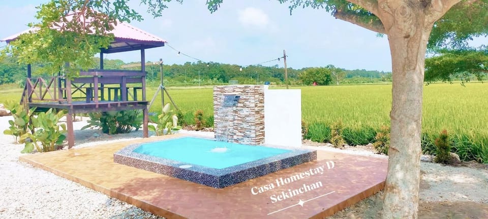 Swimming pool, Swimming pool