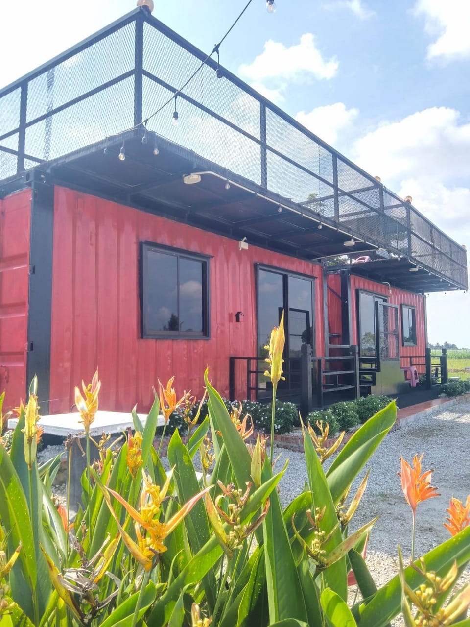 Property building, Day