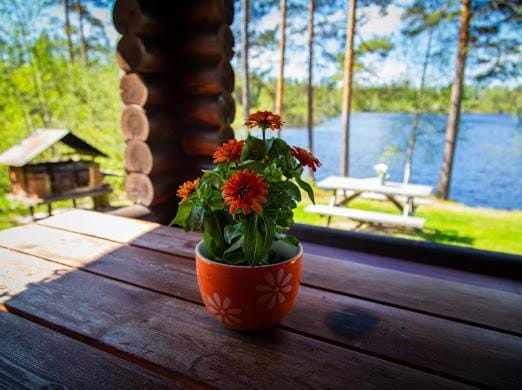 Juhantupa Chalet in Finland