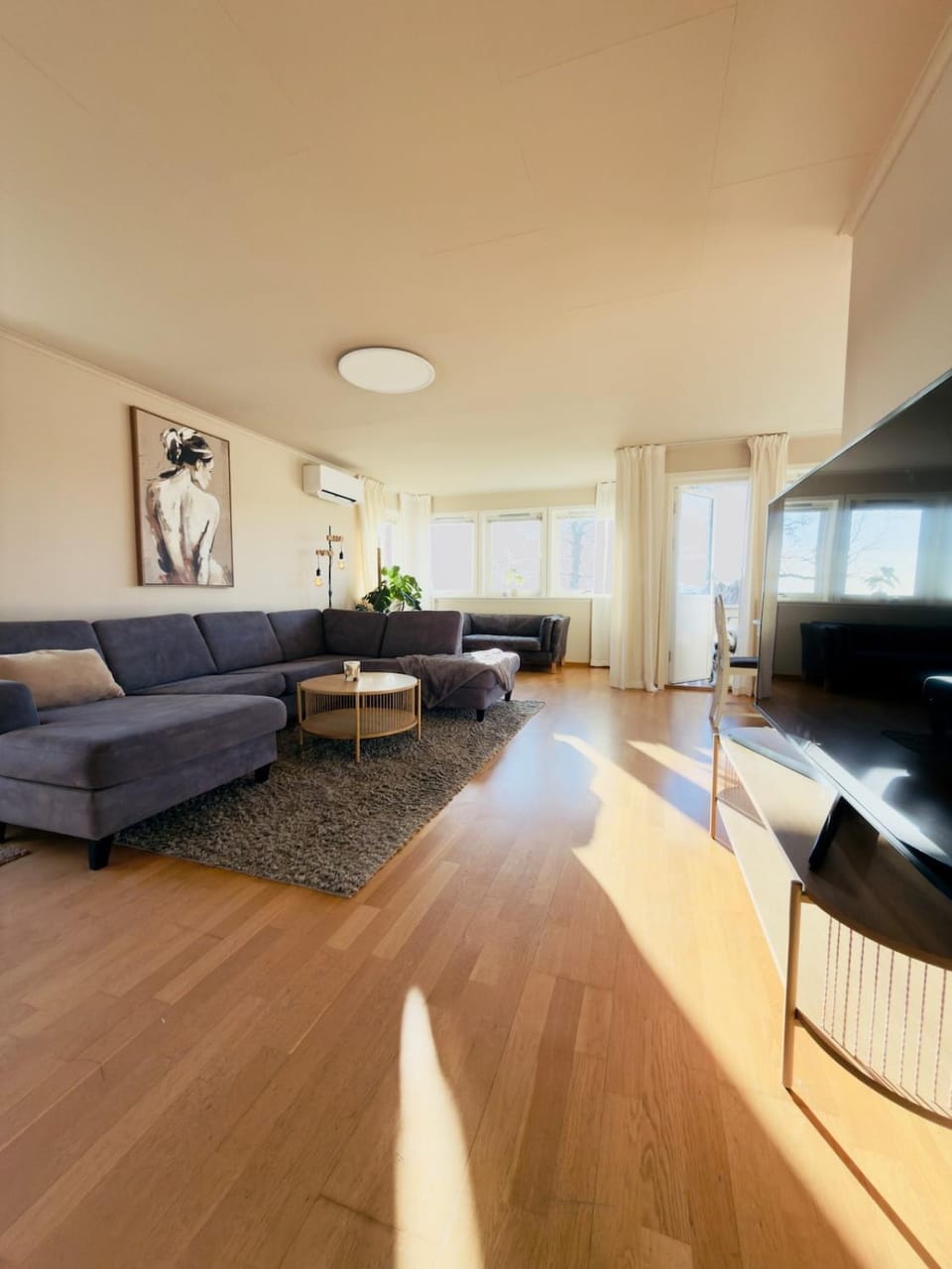 Large apartment with parking Apartment in Viken, Norway