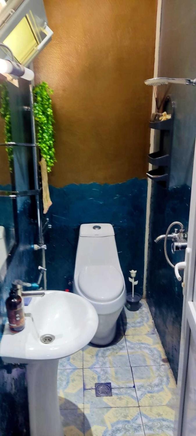 Shower, Toilet, Bathroom