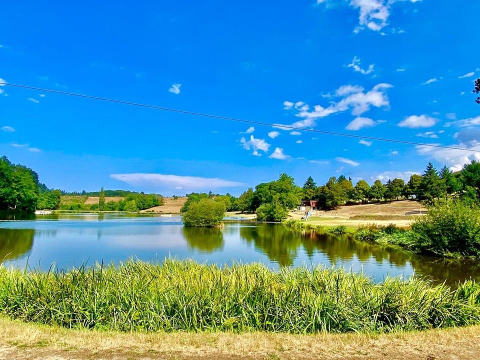 Lake view