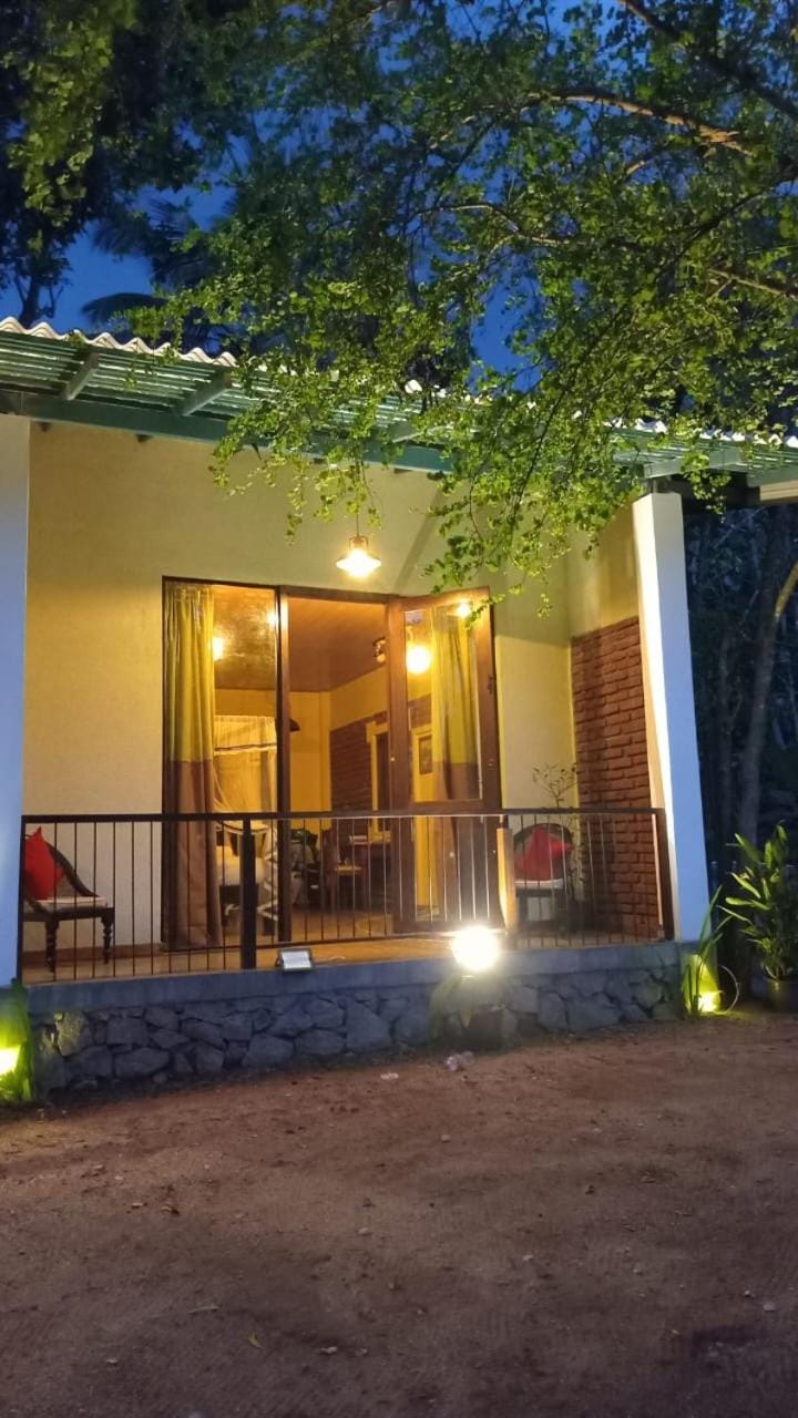 Property building, Patio, Night, Garden