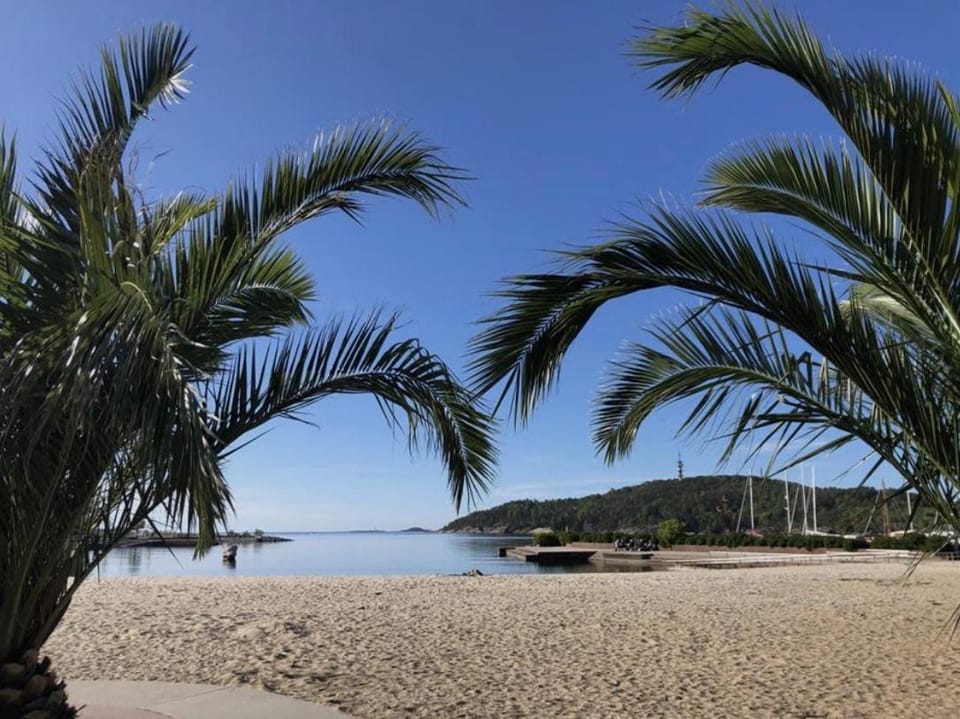Beach