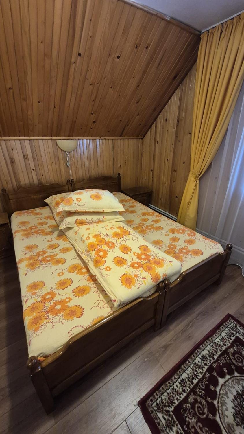 Pensiunea Poieni Bed and Breakfast in Romania