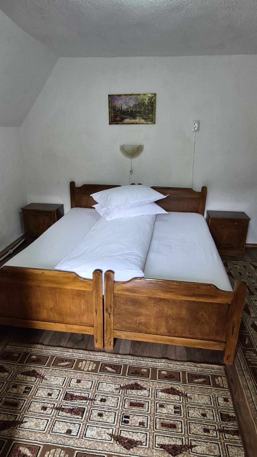 Pensiunea Poieni Bed and Breakfast in Romania