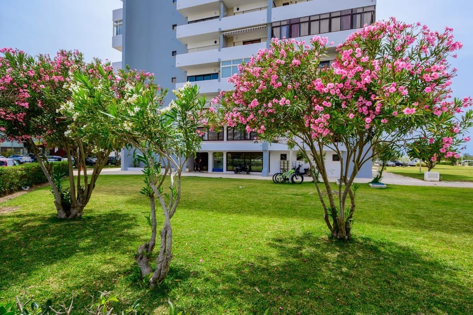 Garden, Garden view