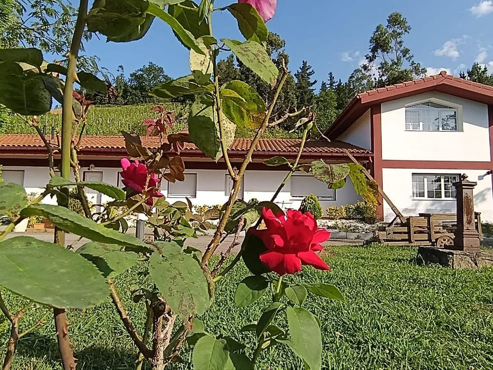 SUA Fuego Apartamento 3 Apartment in Basque Country