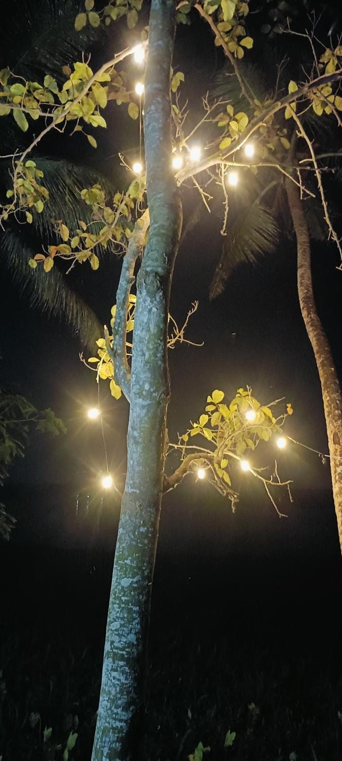 Lake view stay House in Thiruvananthapuram