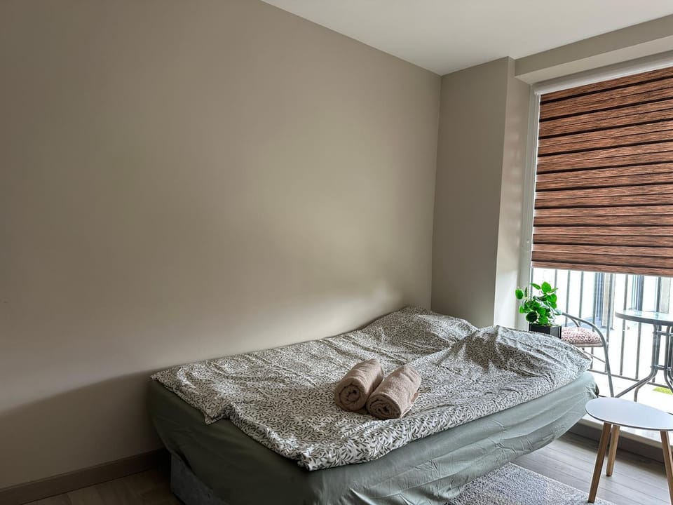 Mėguvos studio flatas Apartment in Palanga