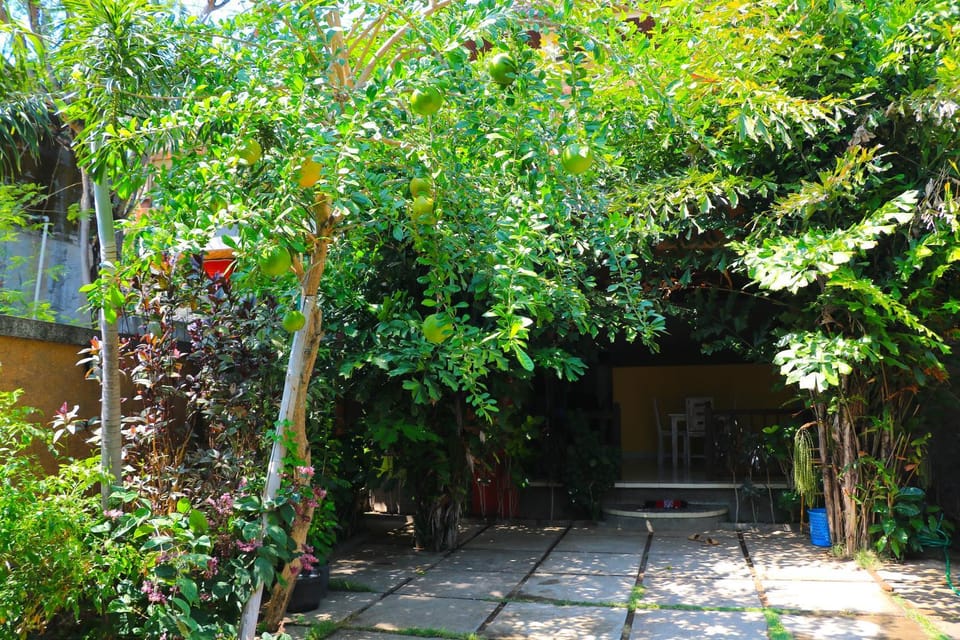 Patio, Balcony/Terrace, Dining area