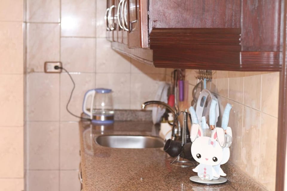 شقه فندقيه Apartment in Egypt