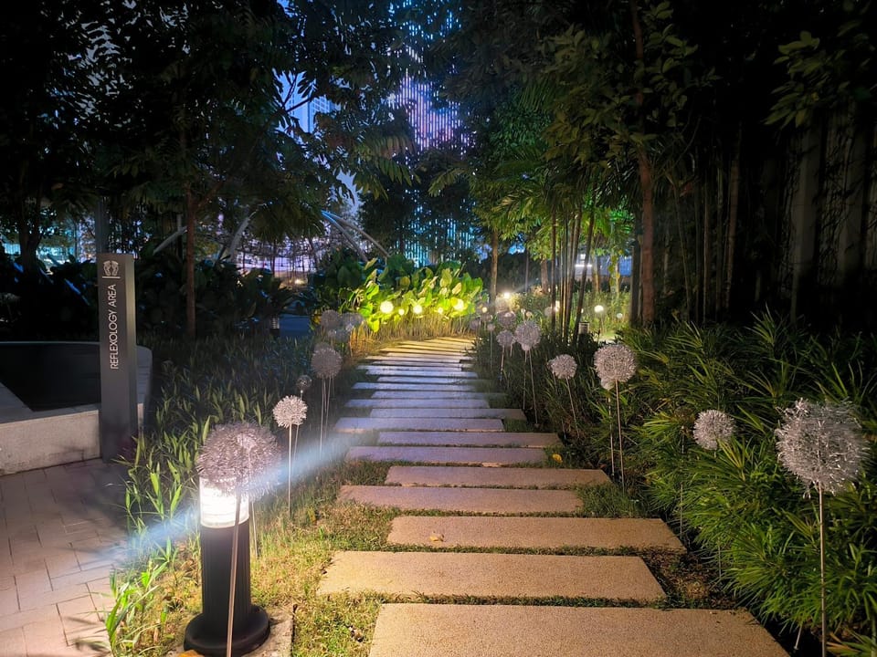 Night, Garden, Garden view