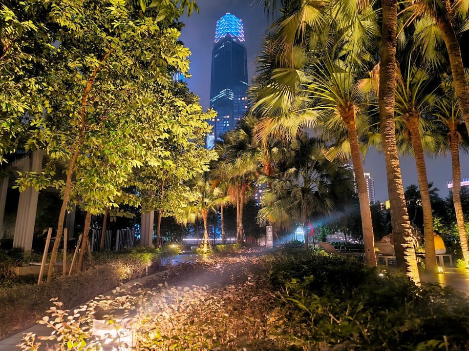 Night, Garden, Garden view