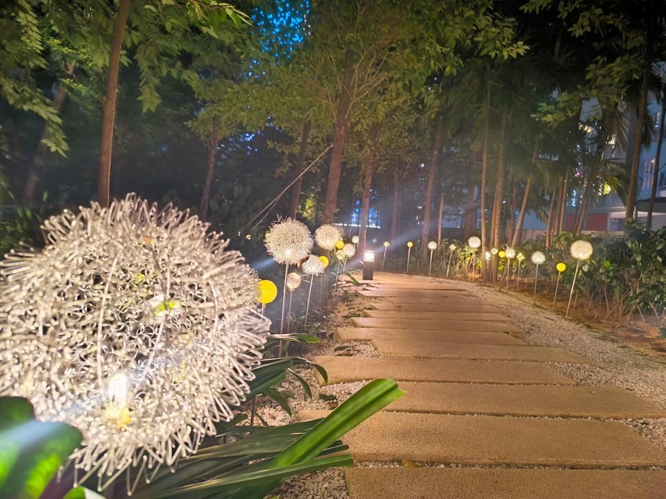 Night, Garden, Garden view