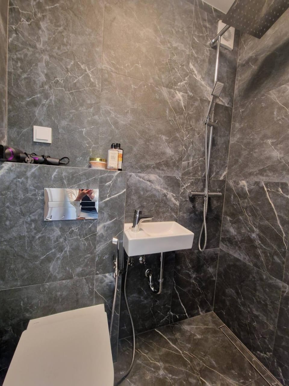 Bathroom, bidet, bidet