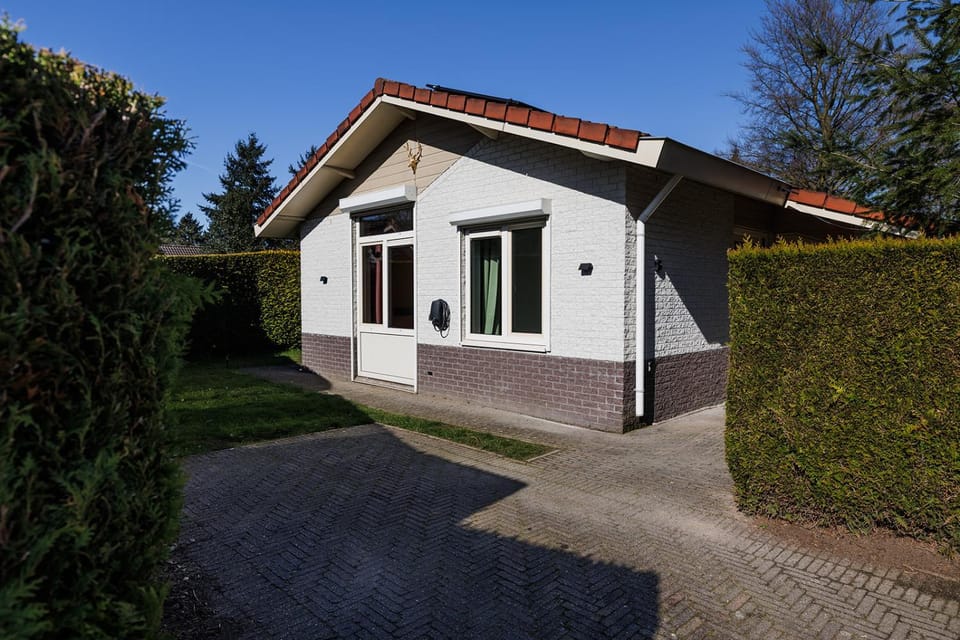 Property building, Garden, Garden view