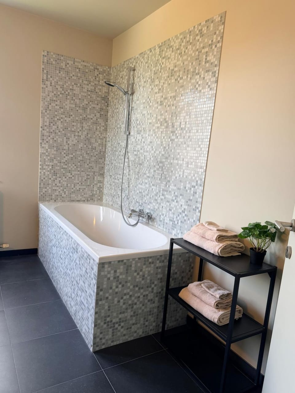 Sien Suite Apartment in Zottegem