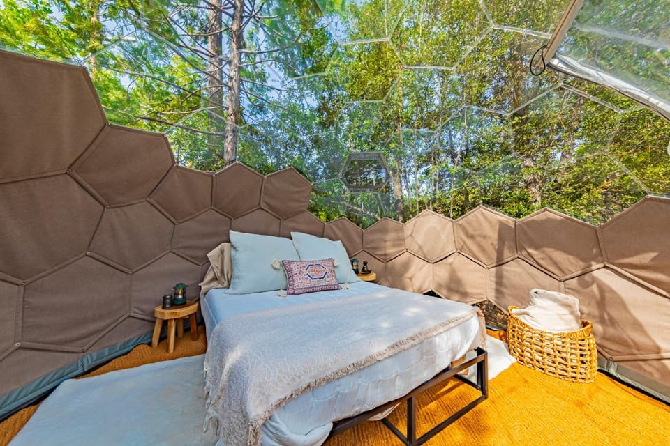 Stargazing Dome with Forrest Cottage on Lakefront Property Luxury tent in Bass Lake