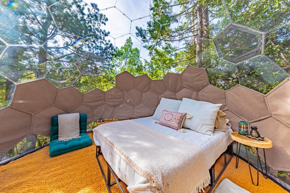 Stargazing Dome with Forrest Cottage on Lakefront Property Luxury tent in Bass Lake