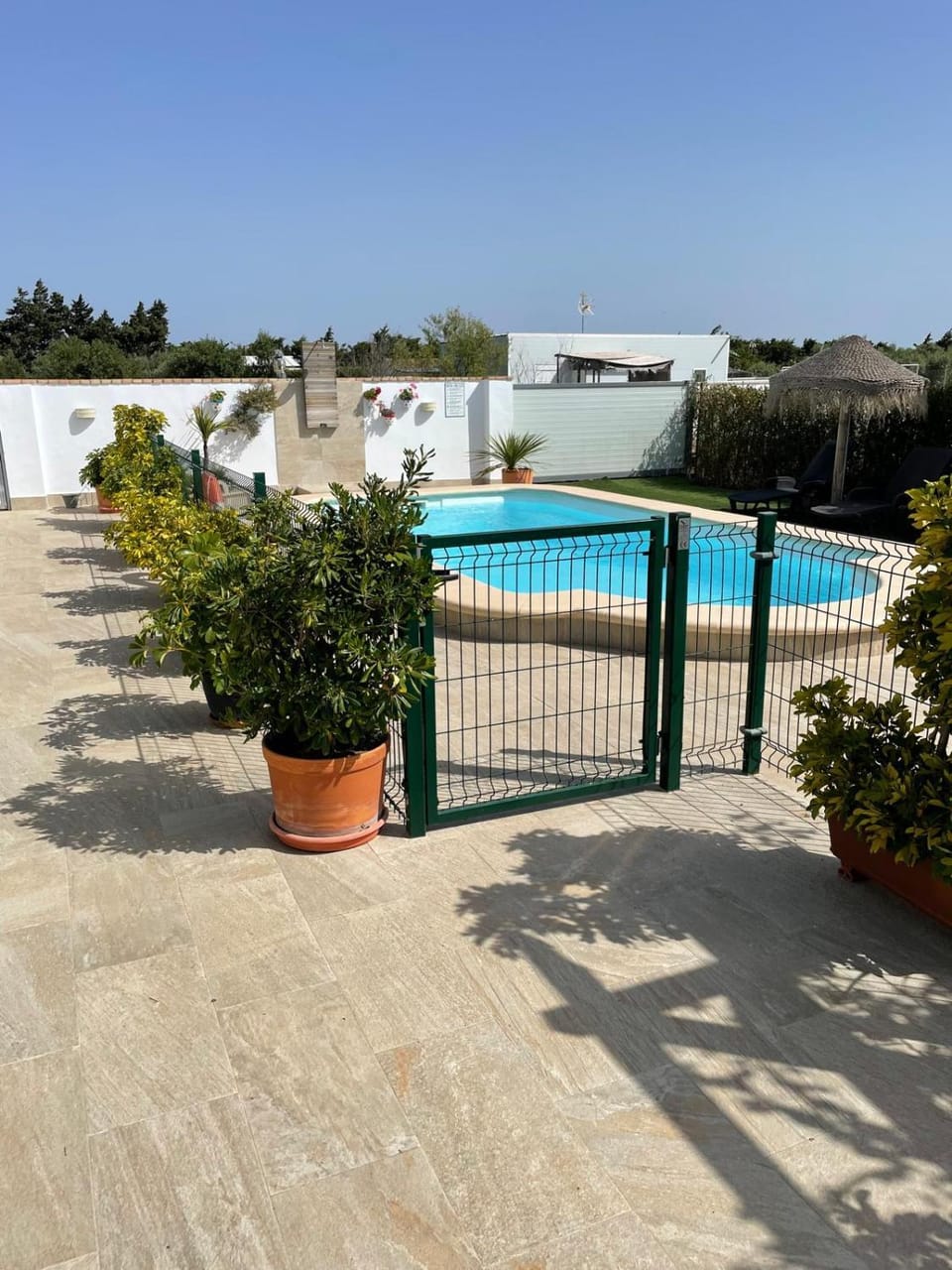 Pool view