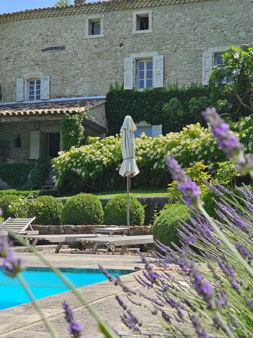 La Ribaude Apartment hotel in Malaucène