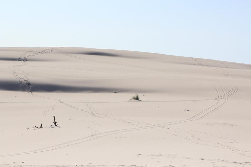 Natural landscape