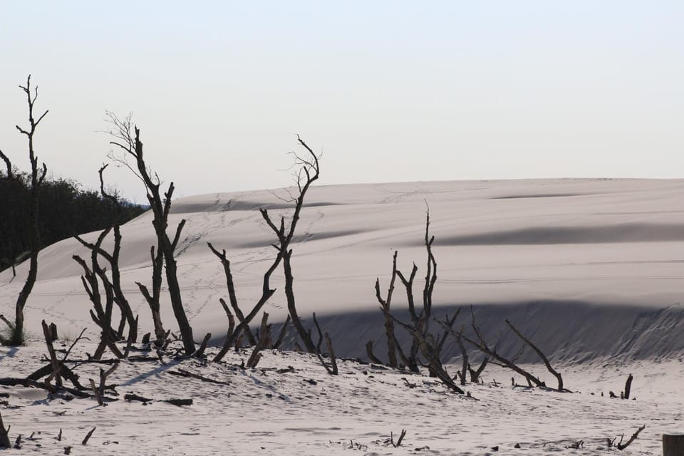 Natural landscape