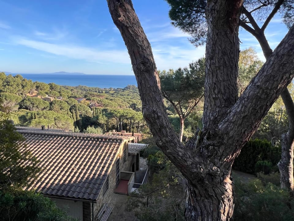 View (from property/room)