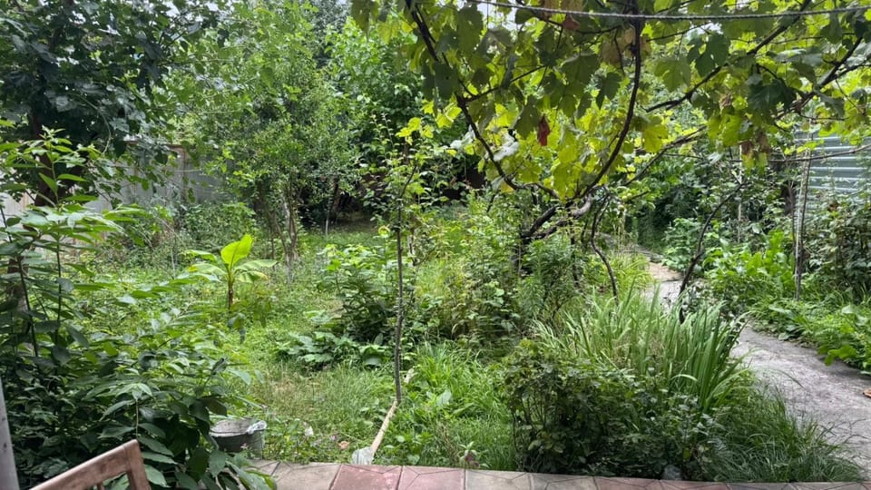 Garden, Garden view