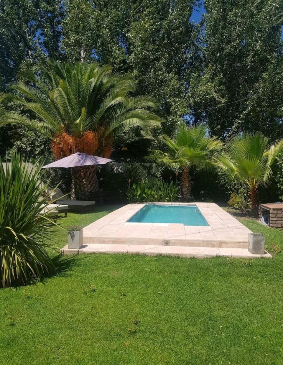 Wonderful house in Chacras de Coria Mendoza min 3 noches House in Luján de Cuyo