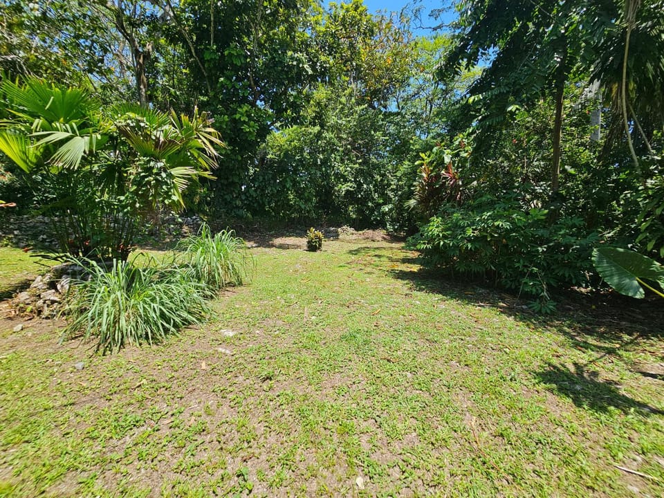Choza Family House House in Cahuita