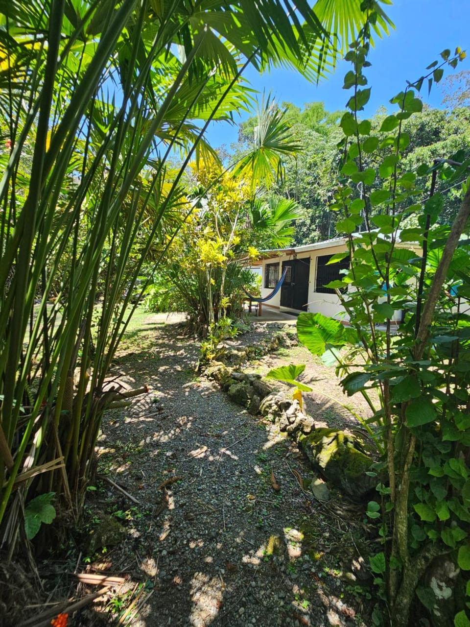 Choza Family House House in Cahuita