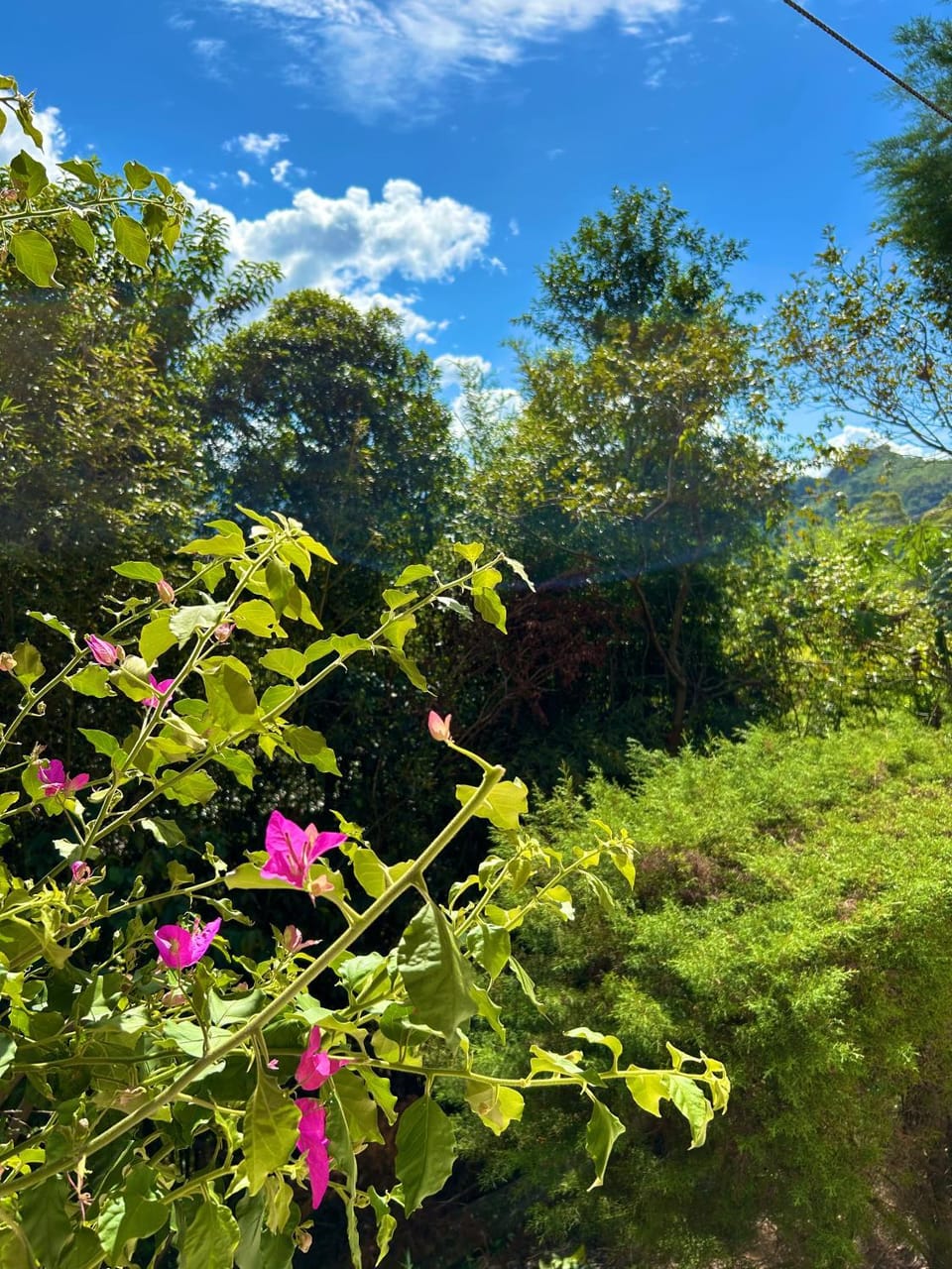 Day, Natural landscape, Garden, Garden view, Mountain view