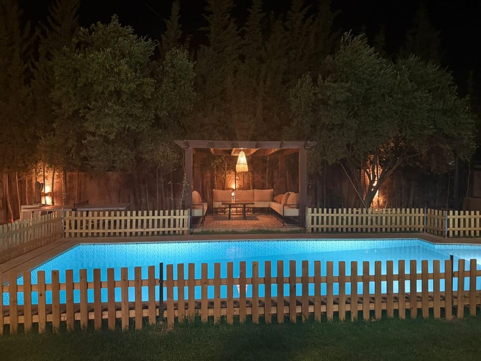 Night, Natural landscape, Garden, Pool view, Swimming pool