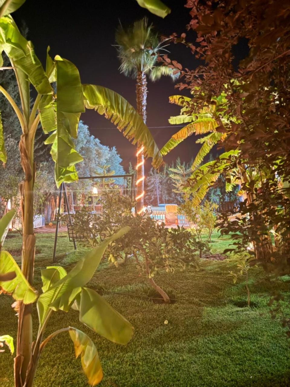 Night, Natural landscape, Garden, Garden view