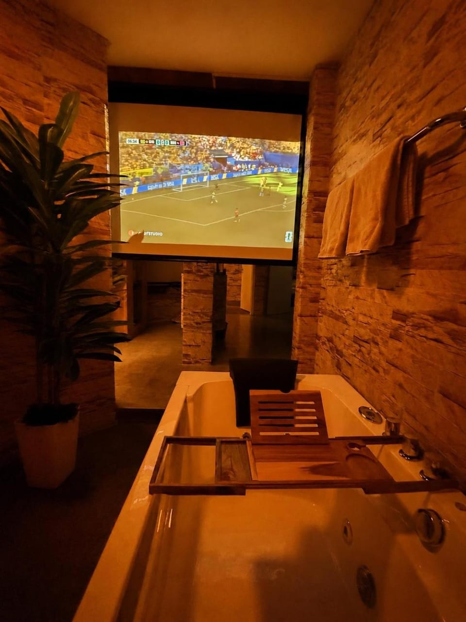 VIP Wellness Oase mit 3Zi Sauna Whirlpool und vielem mehr Apartment in Baden-Württemberg
