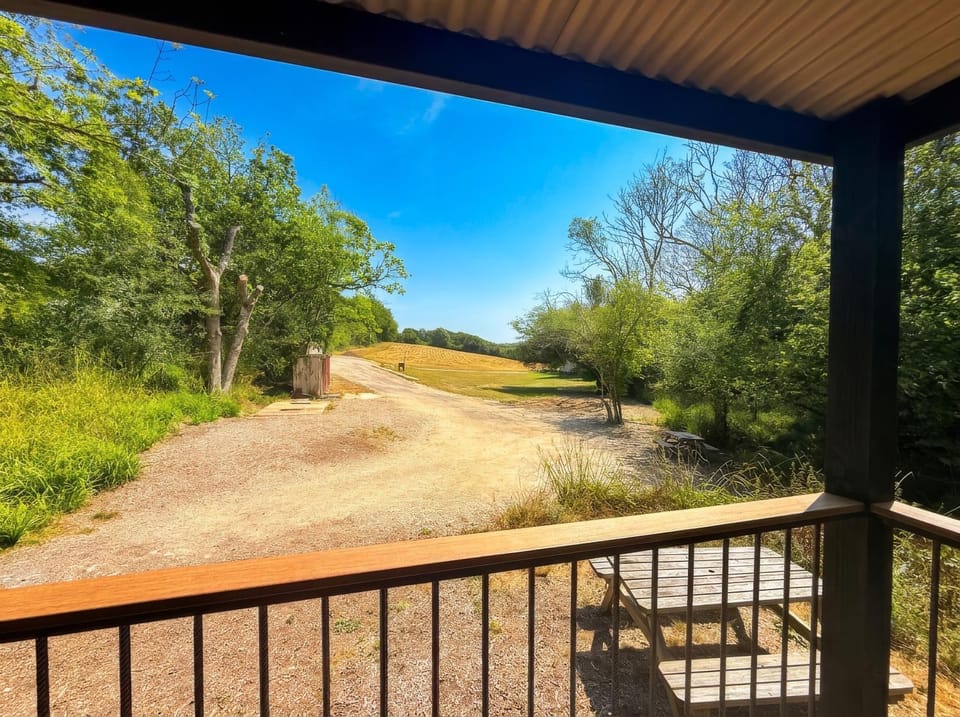 View (from property/room)