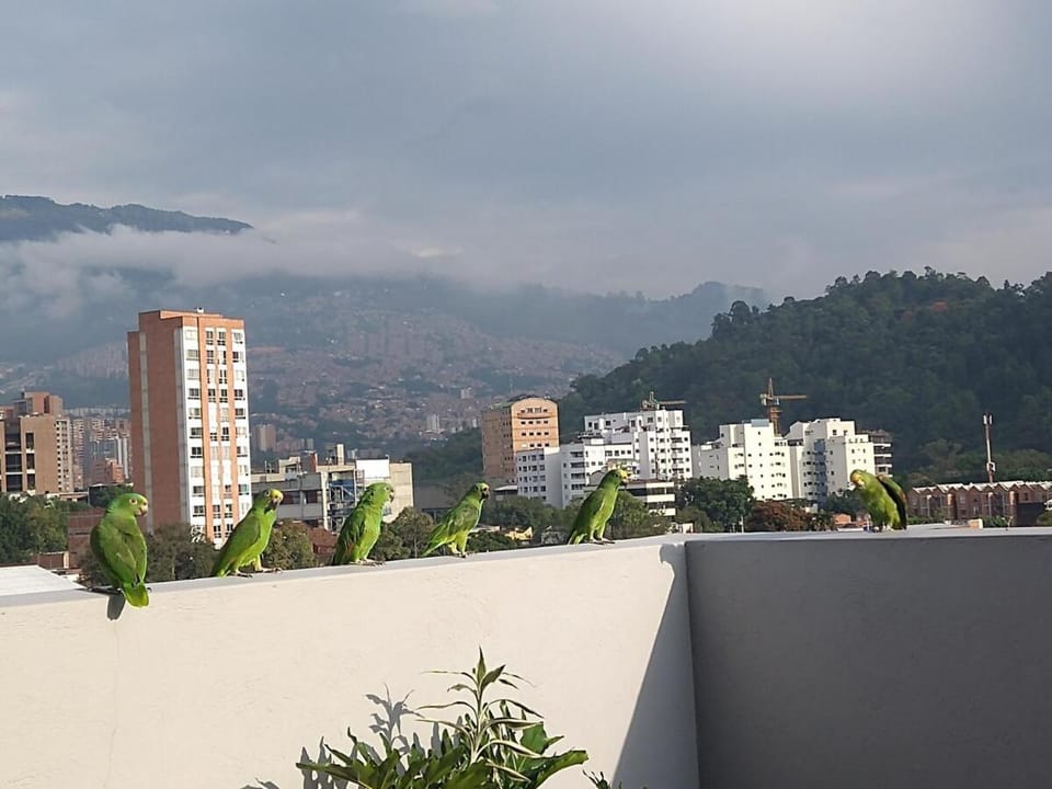 Vista al cielo y a las montañas de Medellín Apartment in Medellin