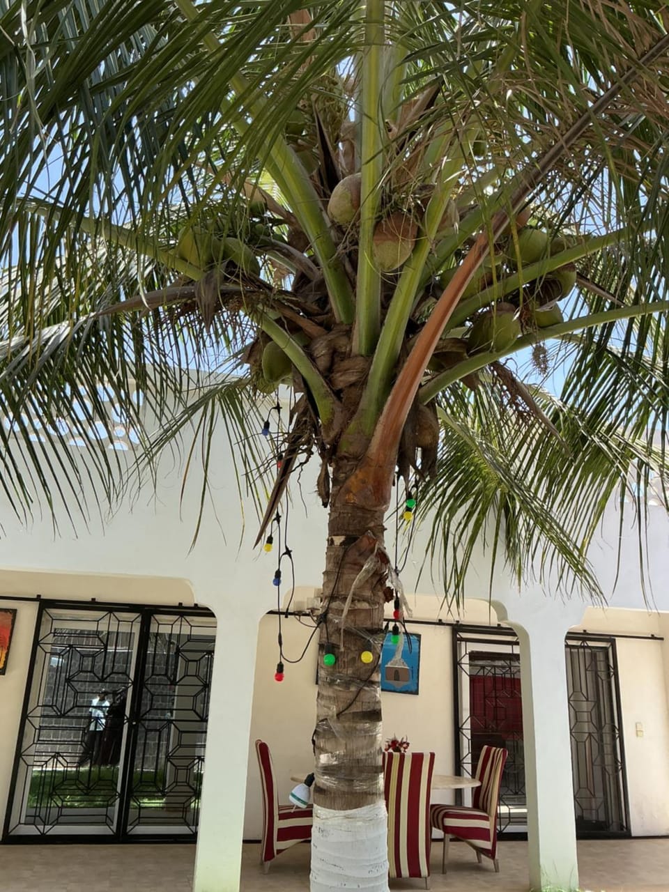 Kamala house Apartment in Saly