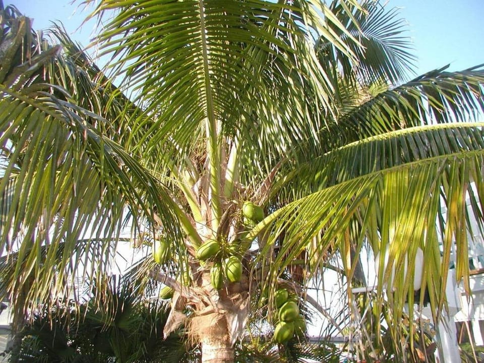 Cozy 2BR Villa Steps to Beach w pool Unit 8 Apartment in Cocoa Beach