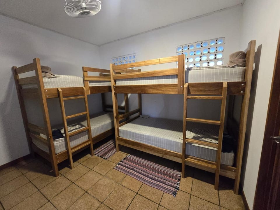 Bed, Photo of the whole room, Bedroom, bunk bed