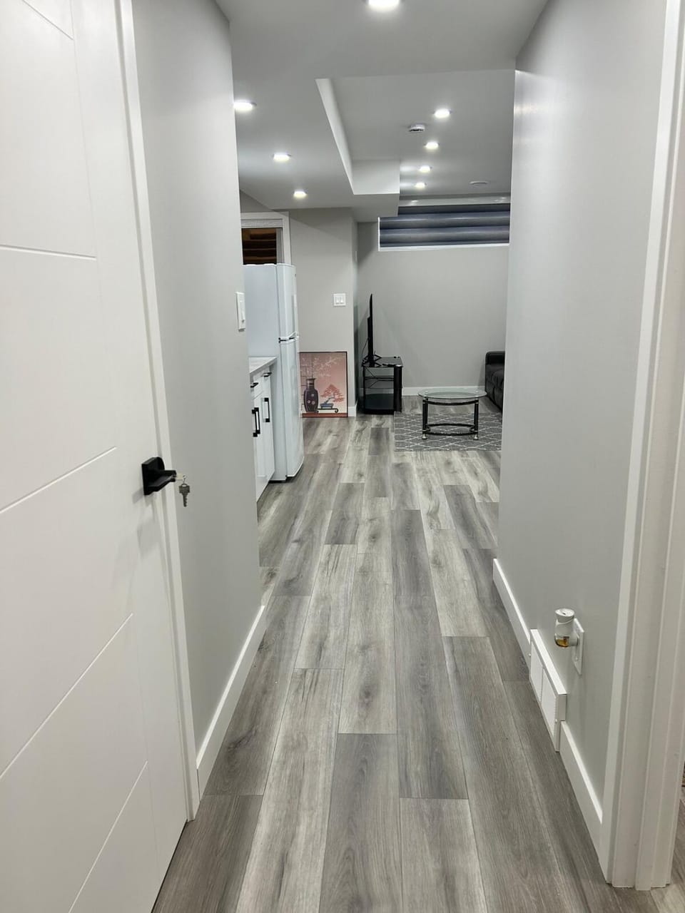 Spacious and Stylish Private Basement Suite - 1 bed and 1 rec room House in Winnipeg