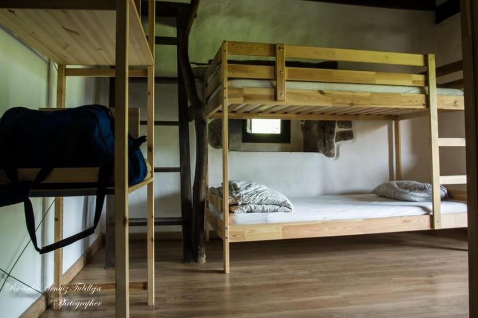 bunk bed