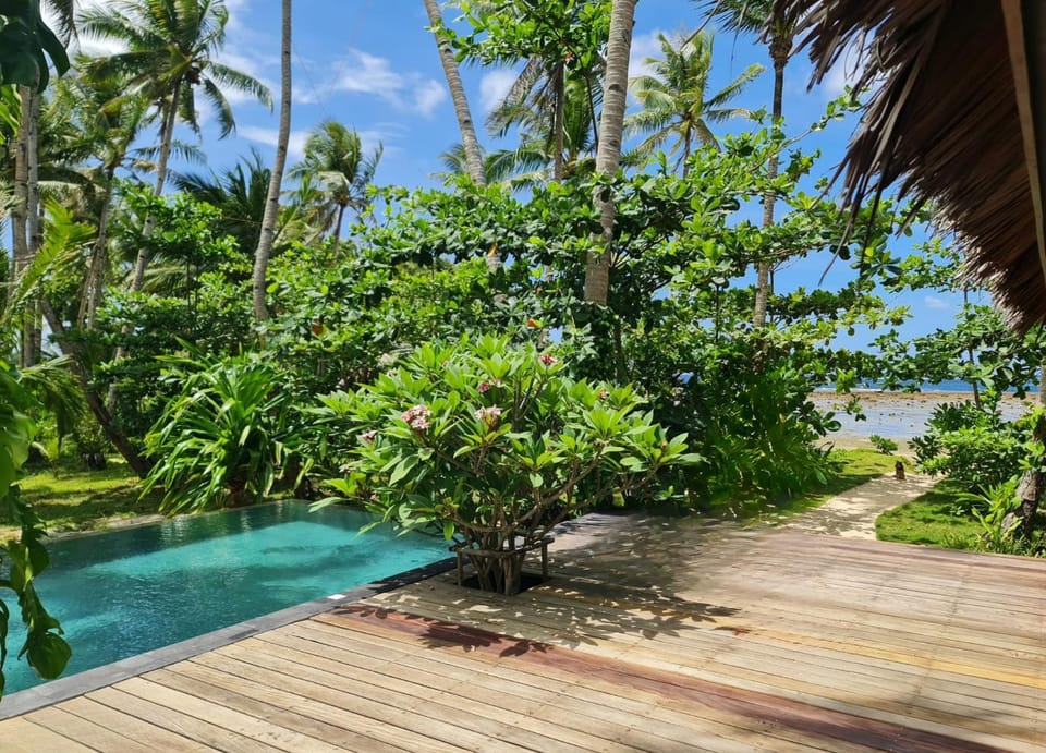 Nearby landmark, Natural landscape, Garden, Beach, Garden view, Pool view, Swimming pool, Swimming pool