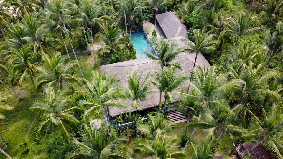 Day, Natural landscape, Garden, Garden view, Pool view, Swimming pool