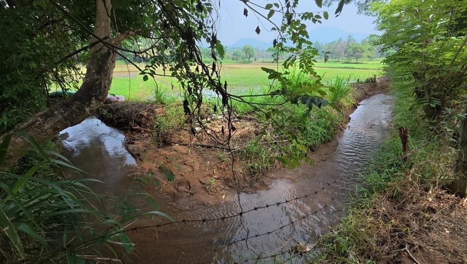 Natural landscape