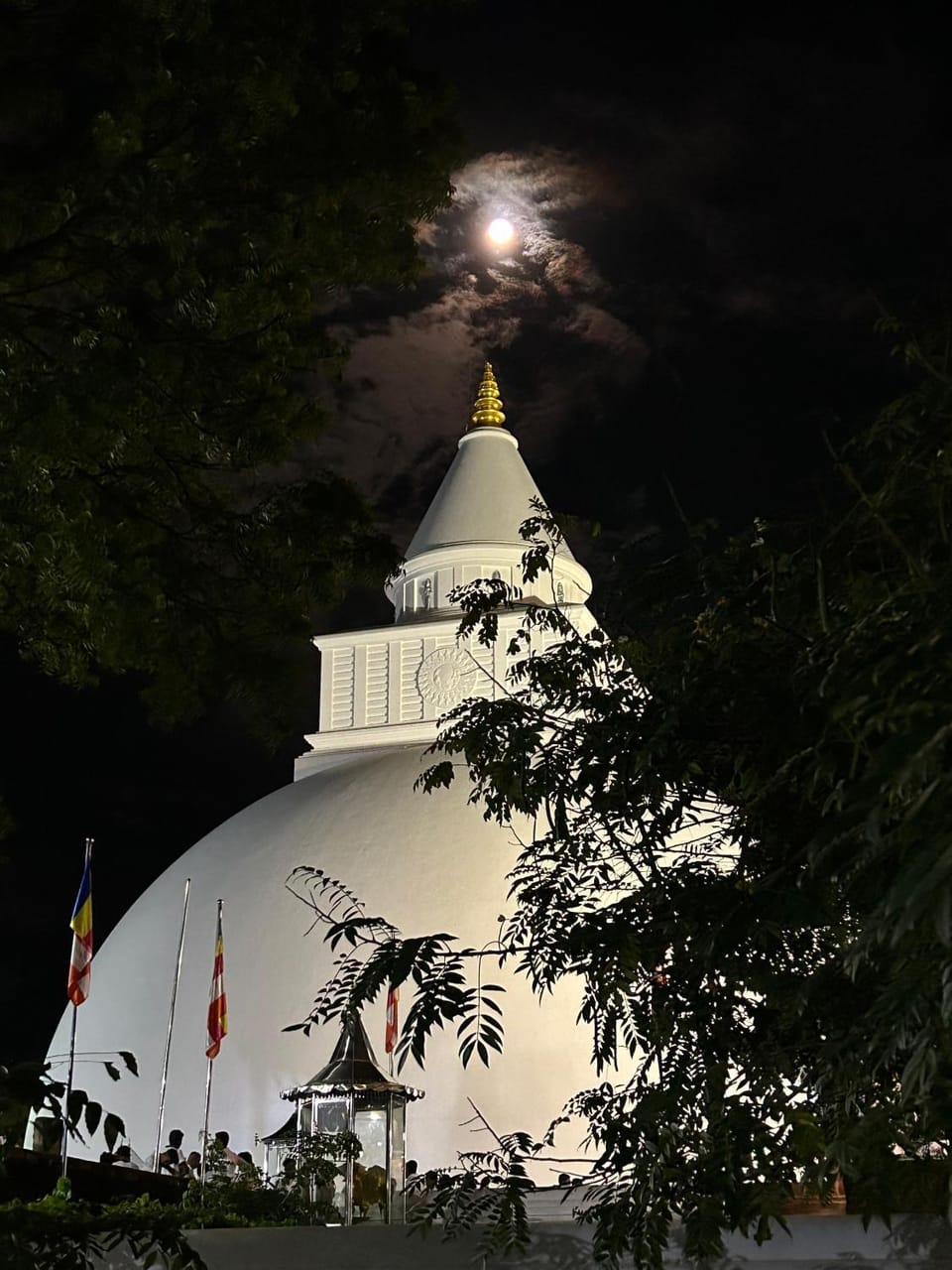 Heina Nature Resort - Yala Nature lodge in Uva Province, Sri Lanka